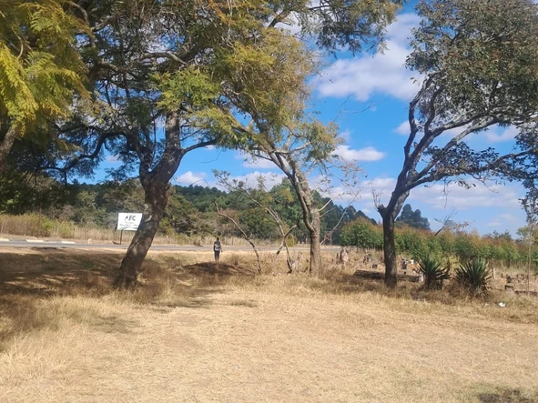 Commercial & Industrial Land