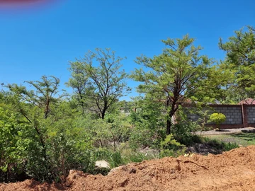 Stands & Residential Land