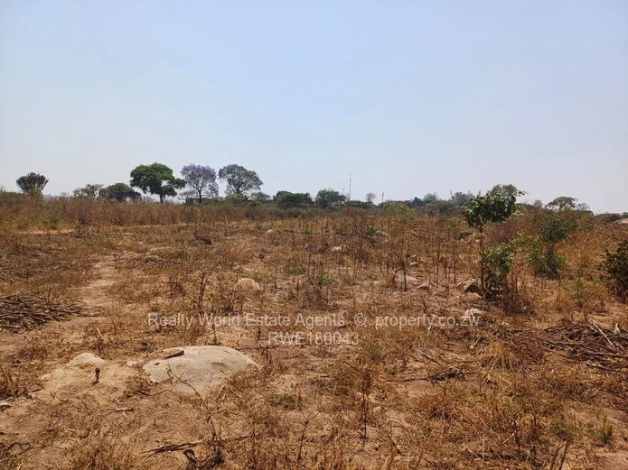 Rydale Ridge Stand For Sale 