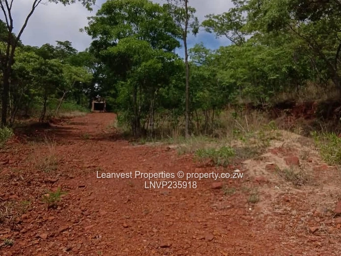 A choice  of 2 subdivided stands for sale in Glen Lorne (Sole Mandate)