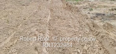 Unlock your faming potential in Beatrice