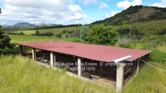 Nyanga Plot For Sale