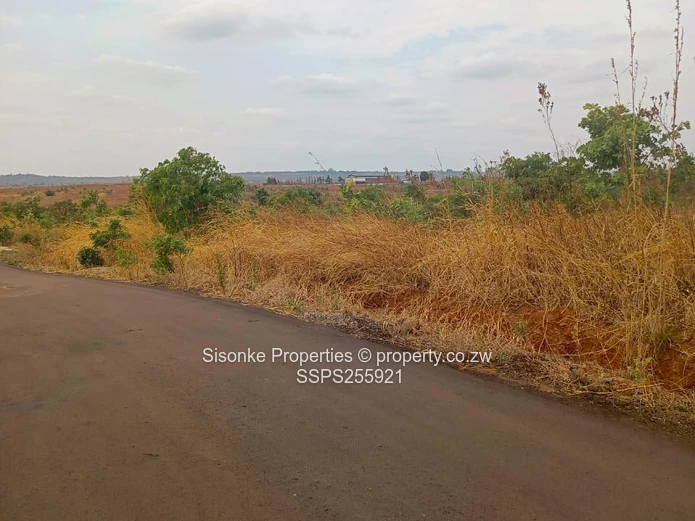 Exclusive Large Residential Stands For Sale – Pomona, Buckland Terraces