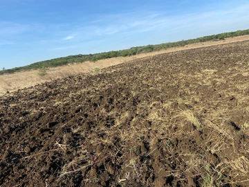 Farm & Agricultural Land