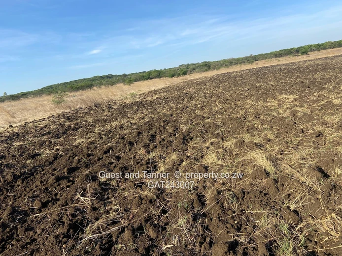 Prime Farm For Sale – Gutu