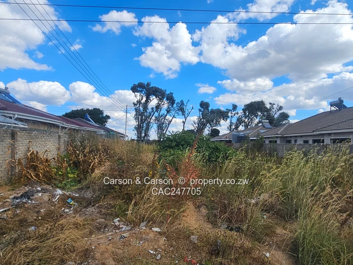 Stand for sale in Mabvazuva