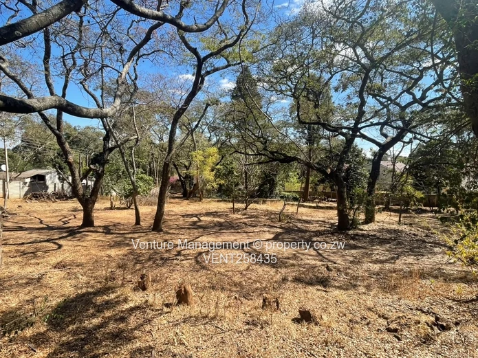 Chisipite Land