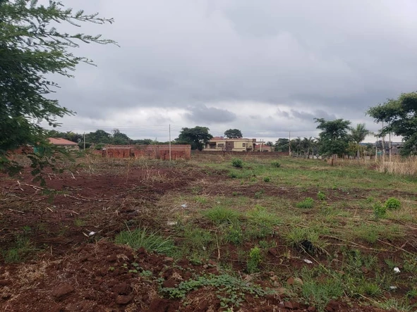 Stands & Residential Land