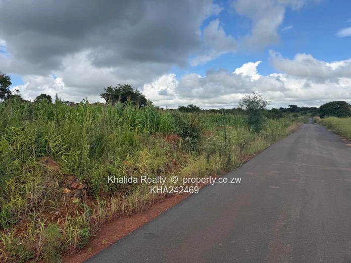 Pomona buckland terrace stand for sale