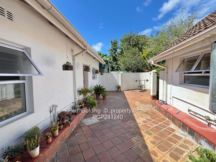 Alexandra Park - Seeing is believing 