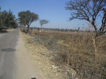 Commercial & Industrial Land