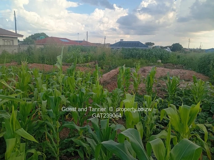 Residential Land For Sale In Damafalls