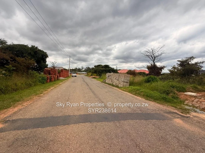 Arlington Stand For Sale