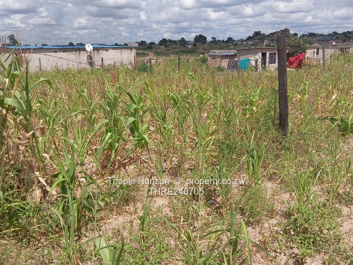 Stoneridge Stands For Sale (2) (Sole Mandate)