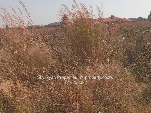 Pomona Stand For Sale