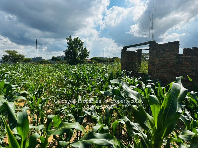 1000sqm stand for sale in Charlotte Brooke with deeds