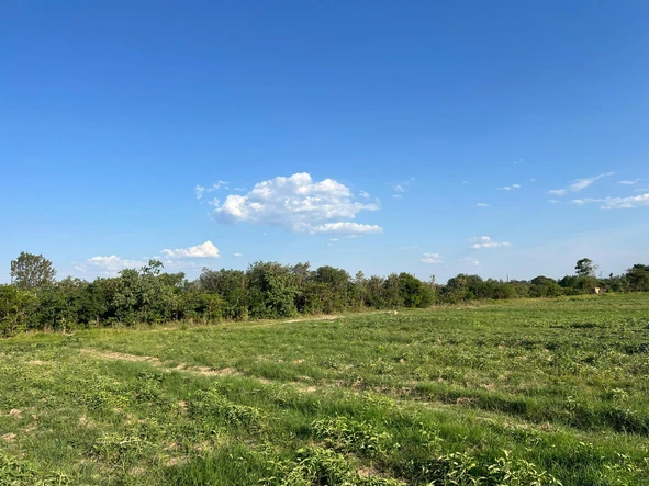 Plot for sale 