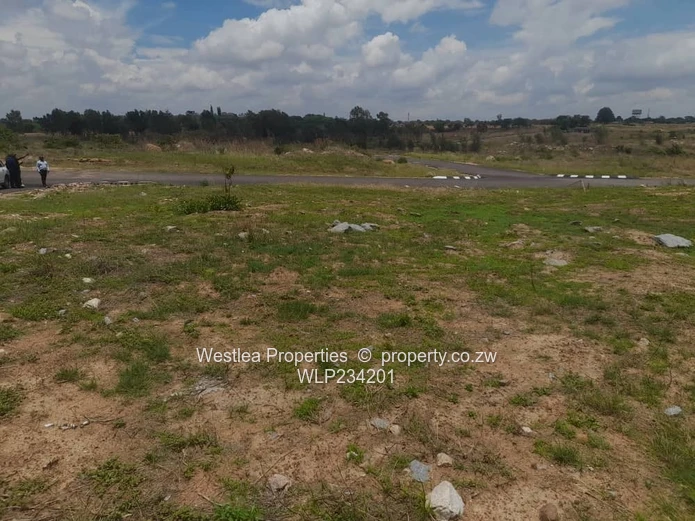 An opportunity not to miss