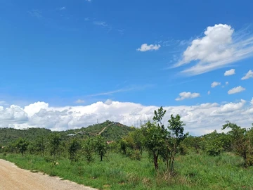 Commercial & Industrial Land