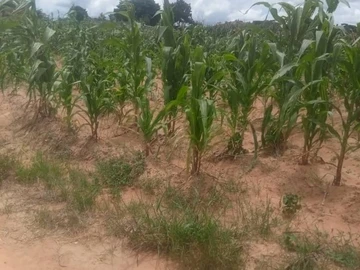 Prime 500 m² corner stand Available in Damofalls, Mashonaland East