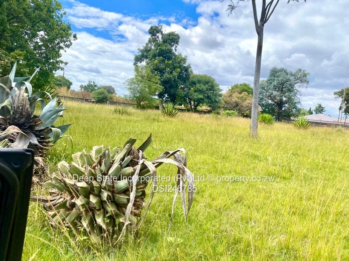 Westgate cluster stand for sale 