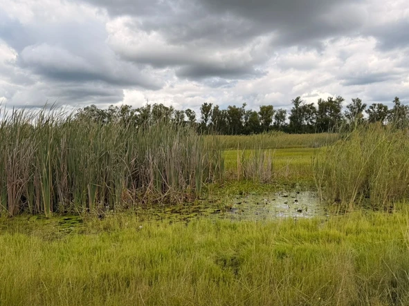 Farm & Agricultural Land