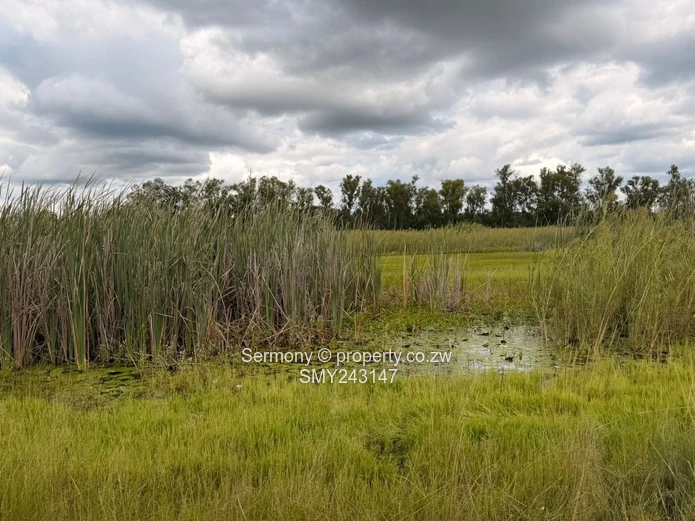 Plots for sale in Chegutu 