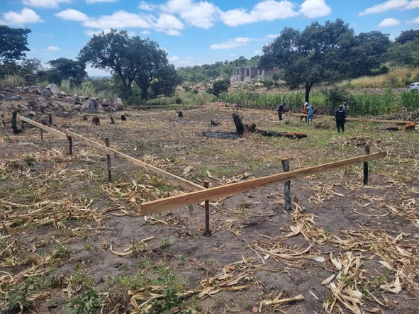 Stands & Residential Land