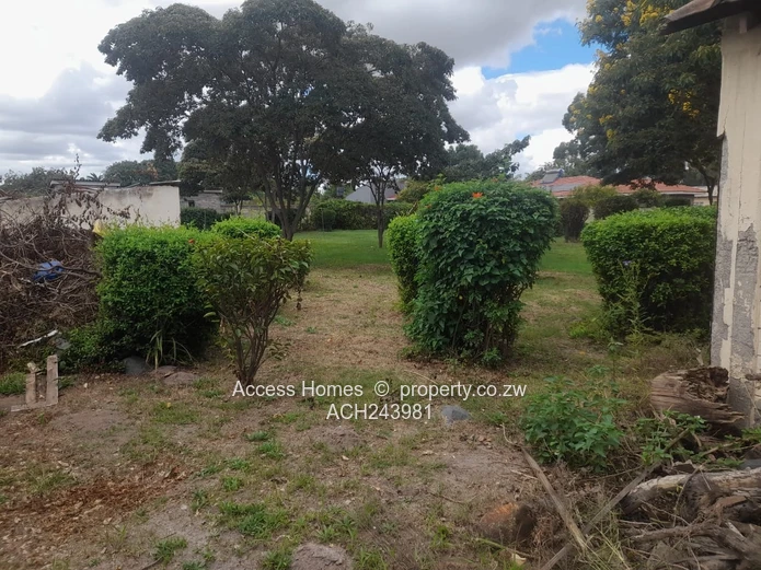 Hatfield Stand for Sale