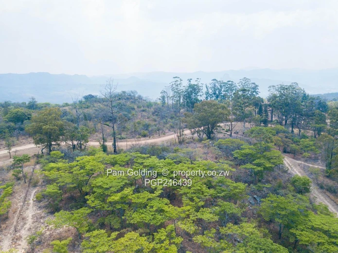 Stands In Nyanga At Nyamazi River For Sale