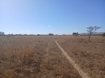 Farm & Agricultural Land