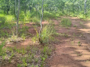 Farm & Agricultural Land