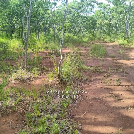 Norton chegutu selous plots for sale