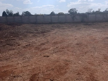 Stands & Residential Land