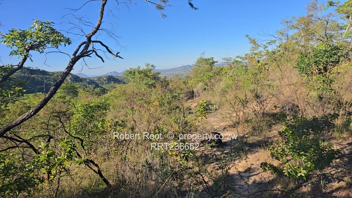 Picturesque Stand For Sale Juliasdale, Inyanga