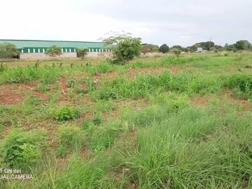 Commercial & Industrial Land