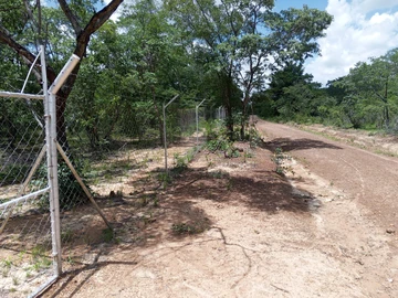 Farm & Agricultural Land