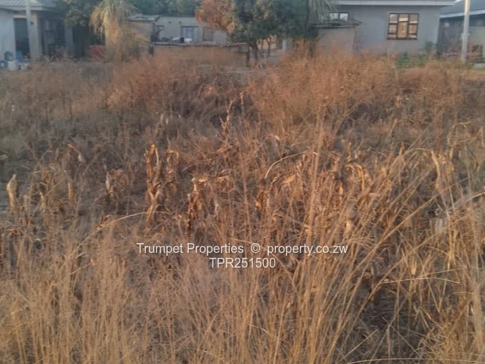 Fully Serviced 300sqm Residential Stand in Budiriro 5B For Sale
