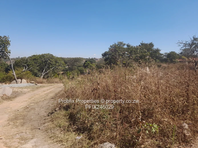 Crow Hill Residential Stand for Sale