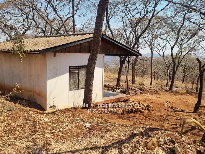 GlenForest Plot 7hectares 