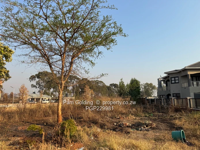 Arlington Low Density Stand For Sale