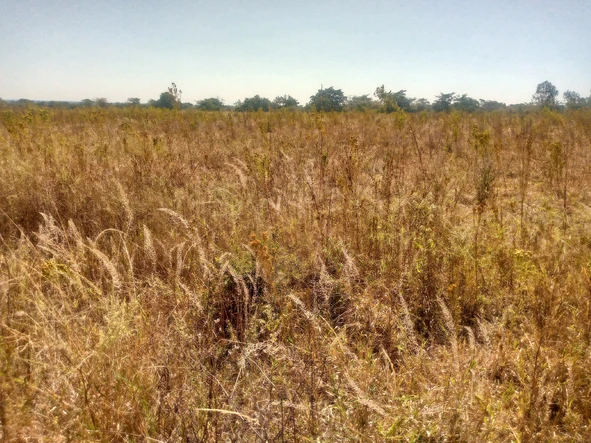 Farm & Agricultural Land