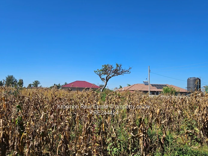 Open Grassy 2084m² Stand — Main Road Frontage, Airport