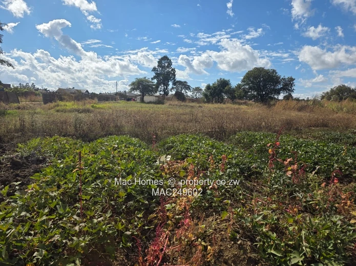 2 Acres Tynwald House - Investment Opportunity