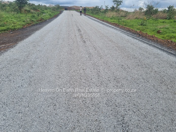 Beautiful stands for sale 