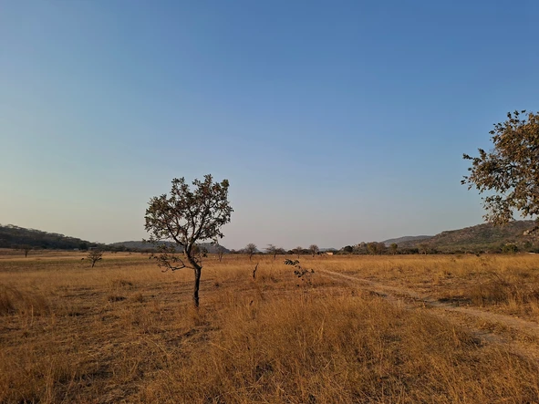 Farm & Agricultural Land
