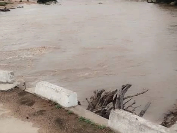 Farm & Agricultural Land