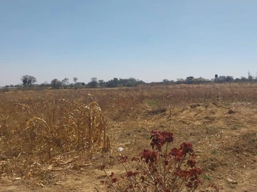 Farm & Agricultural Land