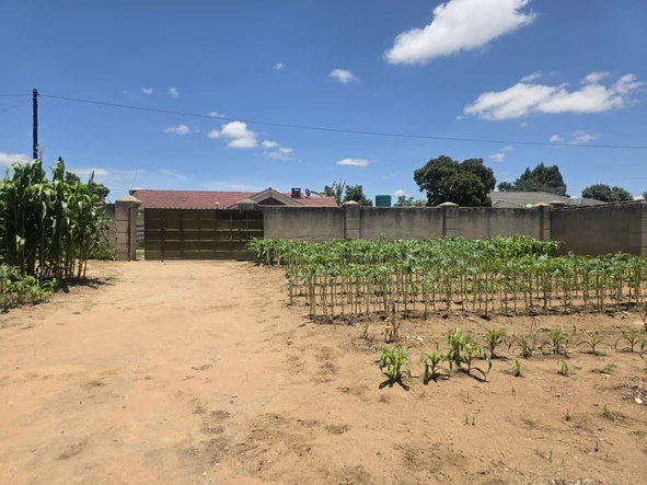 Stands & Residential Land