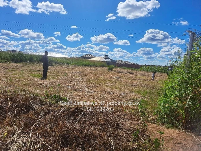 Prime 1,250m² Plot in Sandton Park — Gravel Road Access